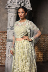 Pista Green Embroidered Lehenga