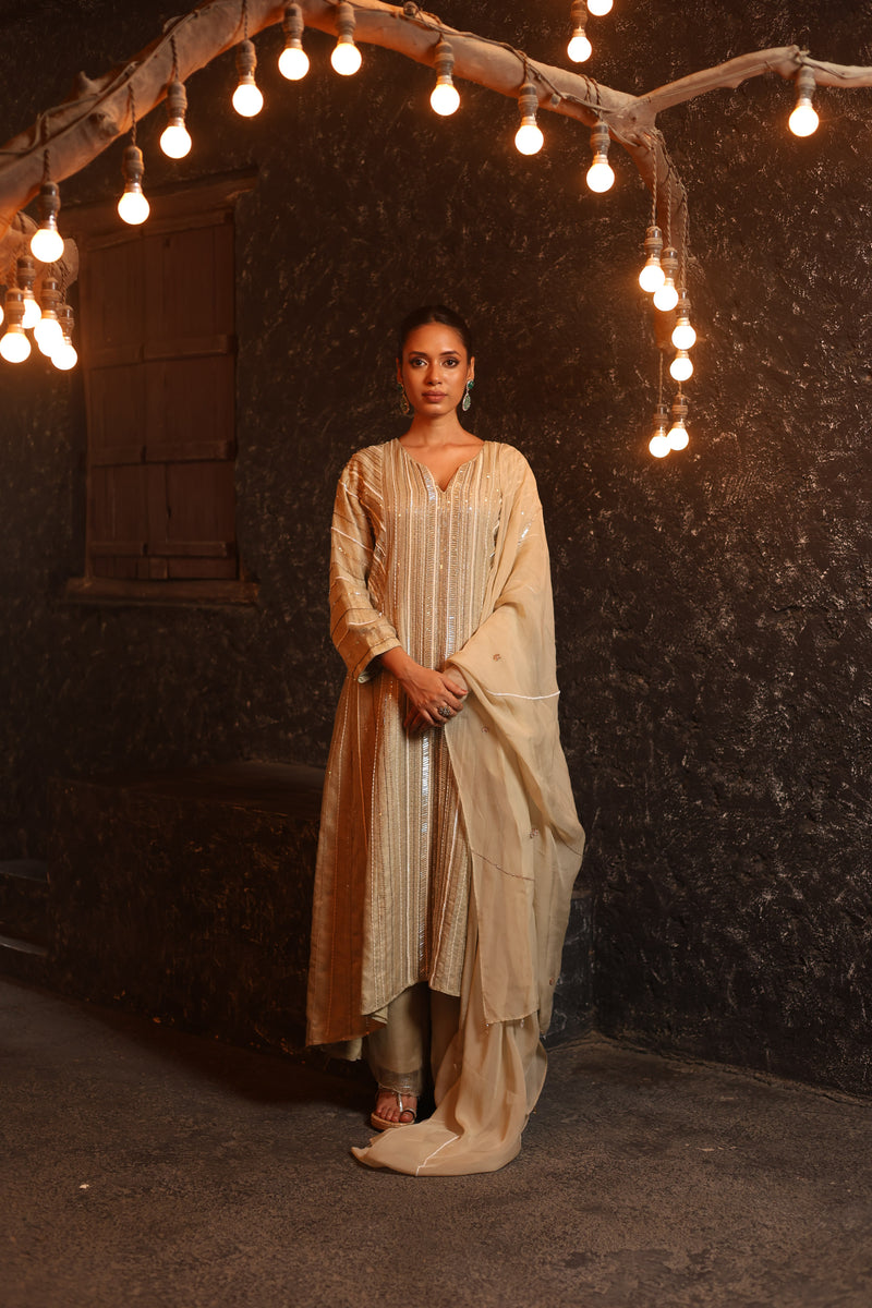 Hand Embroidered Organza High-Low Anarkali