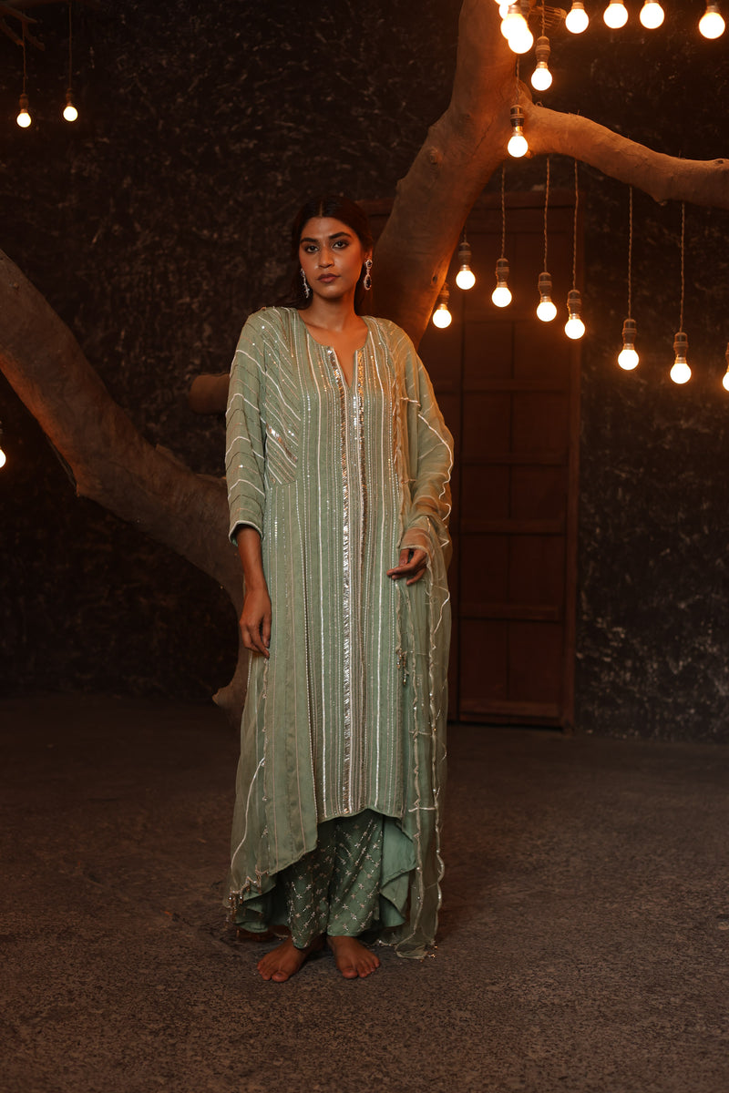 Hand Embroidered Organza High-Low Anarkali