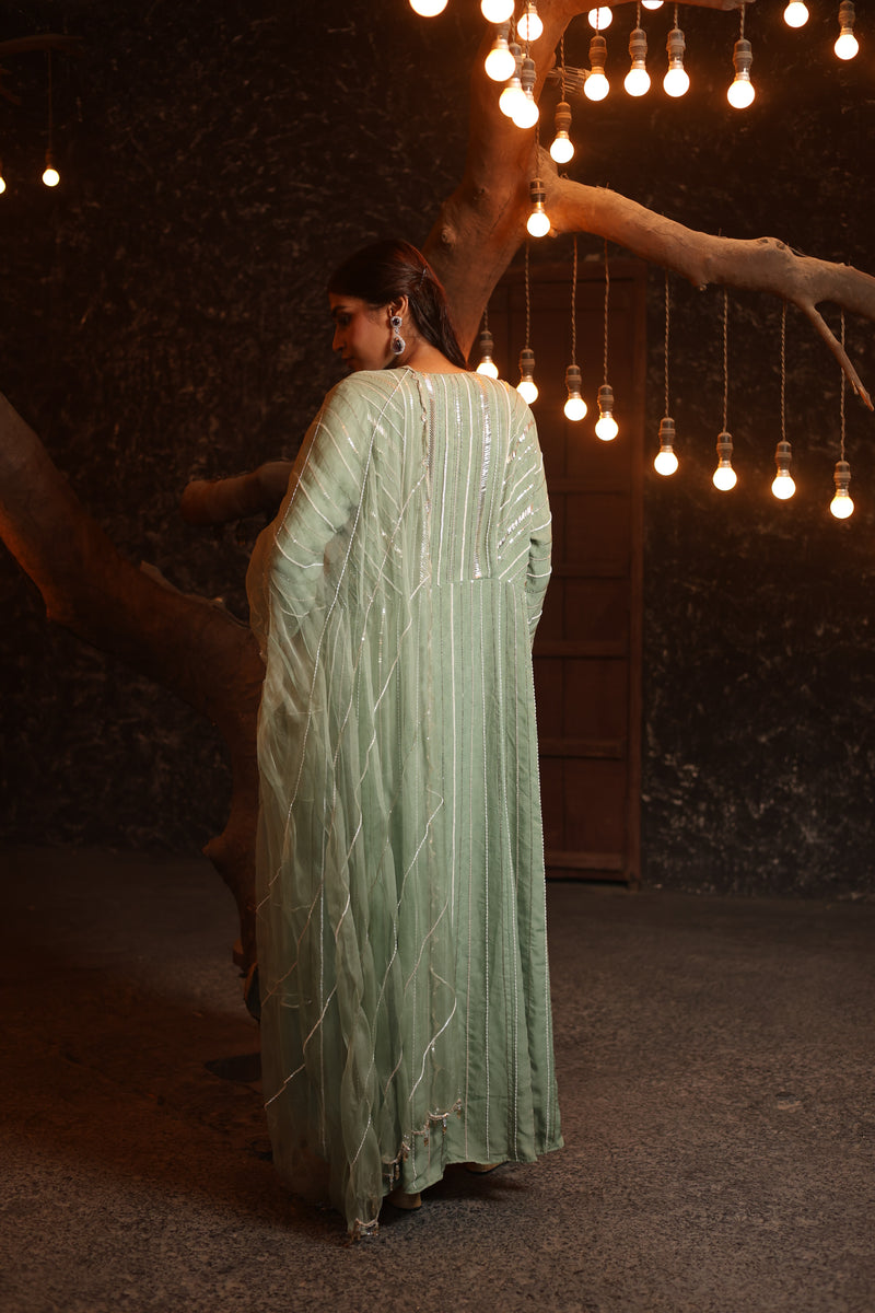 Hand Embroidered Organza High-Low Anarkali