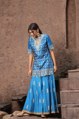 Blue Silk Sharara Set With Dori Embroidery