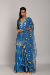 Silk Embroidered Plazo Set