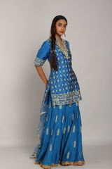 Silk Embroidered Plazo Set